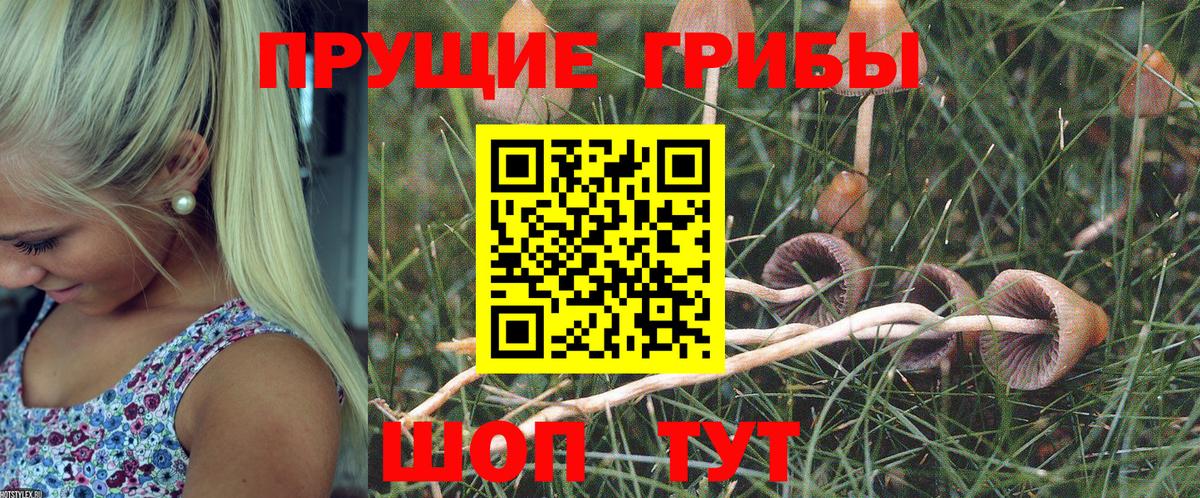 Галлюциногенные грибы мицелий  купить  цена  Вход с VPN  Коммунар  Псилоцибиновые грибы ЛСД 